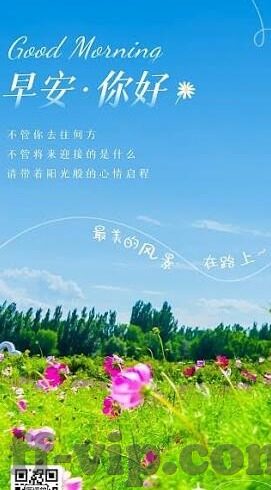 奥斯足球比分-奥斯足球比分，赛场风云的即时镜像与球迷情感的共鸣场