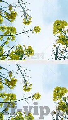球探及时足球比分-揭秘球探及时足球比分，足球迷的情报中枢与观赛新体验
