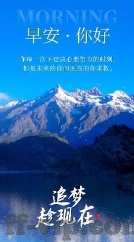 球探足球比分手-球探视角下的足球比分手，数据与直觉的交响曲